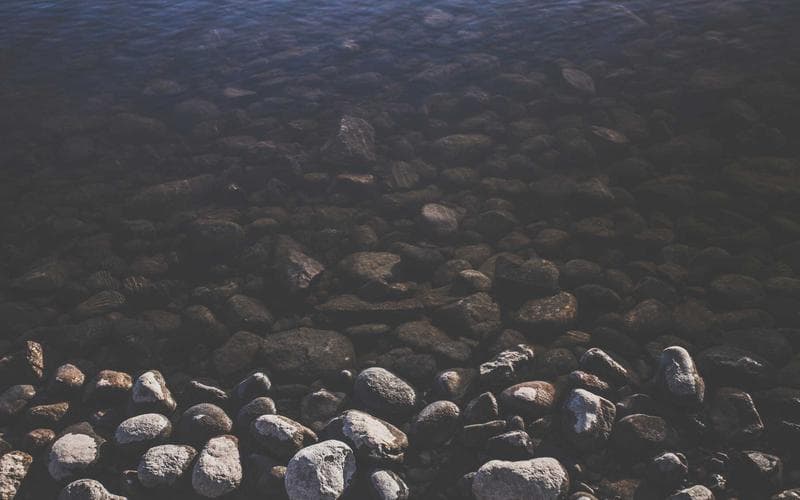 Marcin Rogacewicz z synem na męskiej przygodzie! Zobacz ich fotkę!