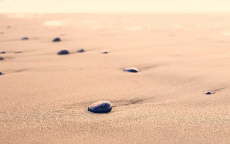 Natalia Szroeder rozgrzała Coachellę! Zobacz jej szaloną stylizację z brzuchem na wierzchu!