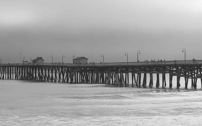 Rodzina Trumpów na gali UFC! Ale kto przyciągnął największą uwagę?