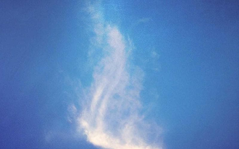 Romantyczny wypad Natsu i Wojtka Kuciny! Czyżby szykowało się nowe love story?